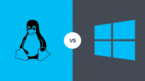 Windows Ve Linux Hosting Arasındaki Farklar