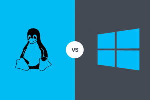 Windows Ve Linux Hosting Arasındaki Farklar