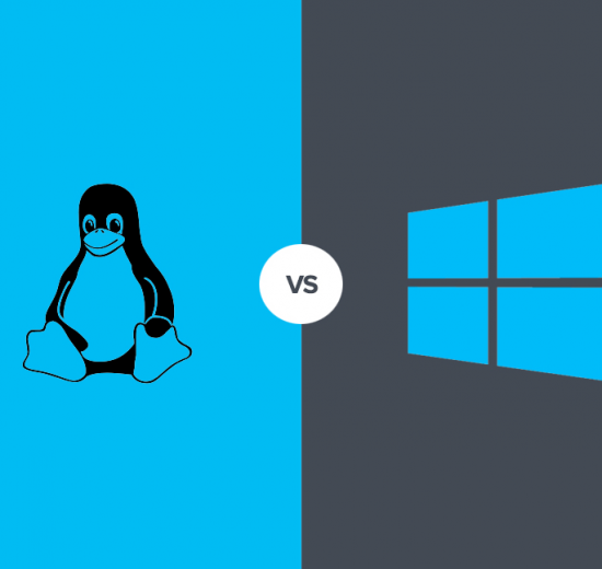 Windows Ve Linux Hosting Arasındaki Farklar