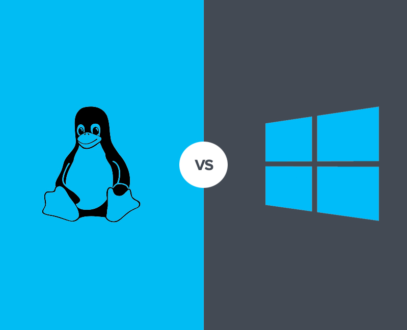 Windows Ve Linux Hosting Arasındaki Farklar