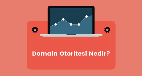 Domain Otoritesi Nedir ve Nasıl Arttırılır?